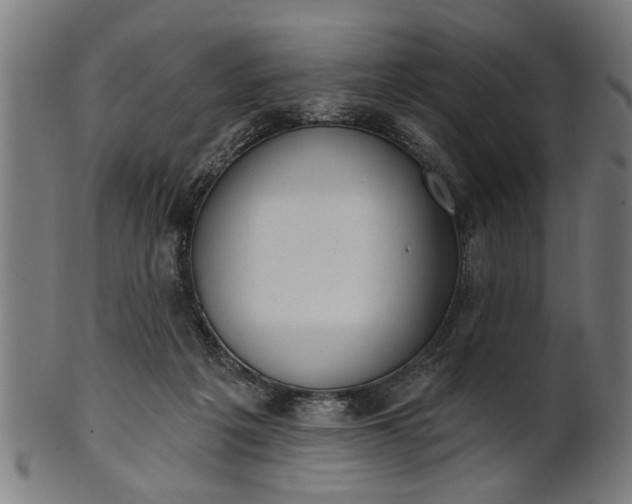 X0000101200217200807111017