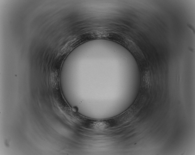 X0000101200218200807111017