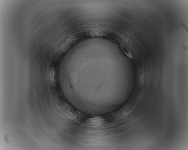 X0000101200219200807111017