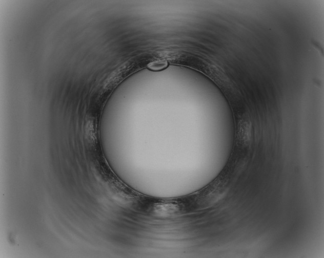 X0000101200220200807111017