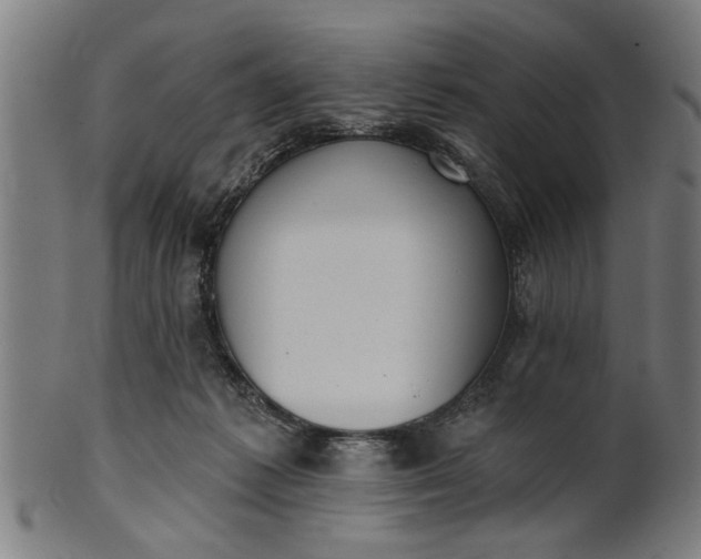 X0000101200221200807111017