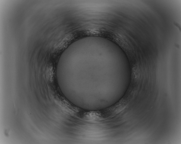 X0000101200223200807111017