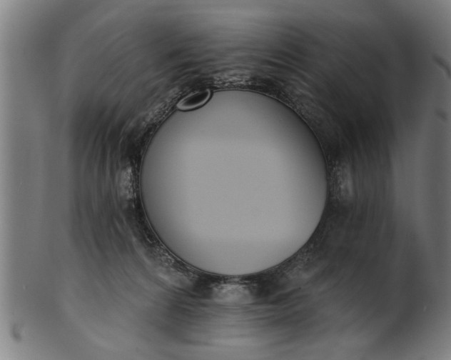 X0000101200224200807111017