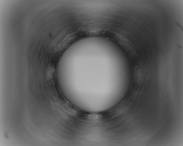 X0000101200225200807111017