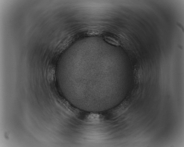 X0000101200227200807111017