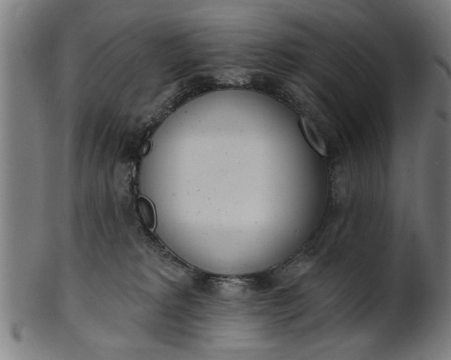 X0000101200229200807111017