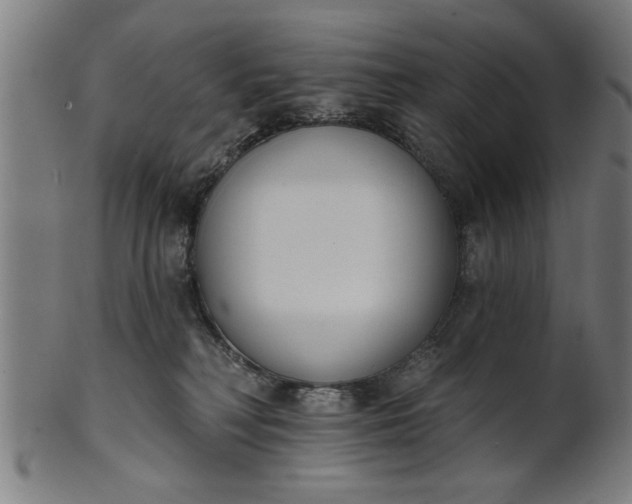 X0000101200230200807111017