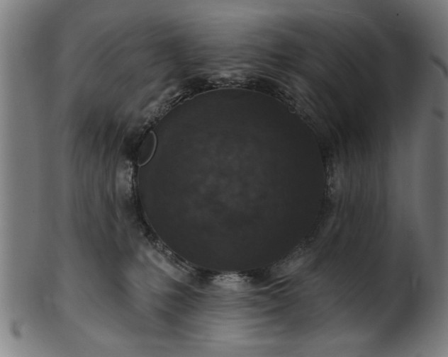 X0000101200231200807111017