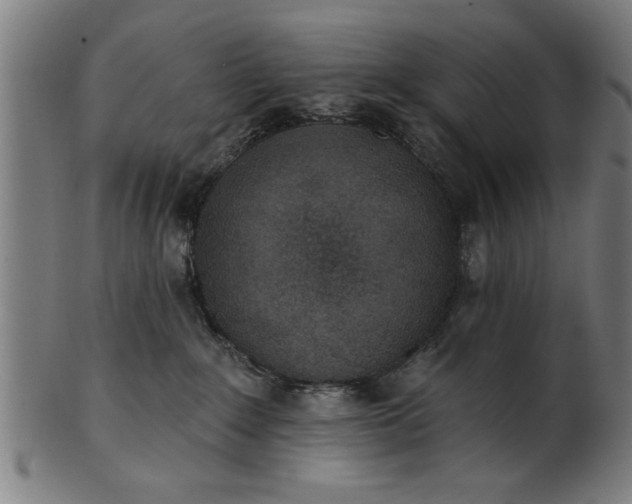 X0000101200235200807111017