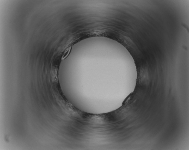 X0000101200236200807111017