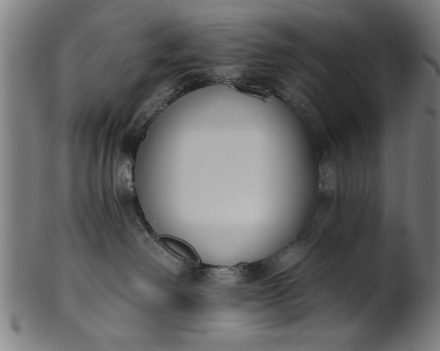 X0000101200238200807111017