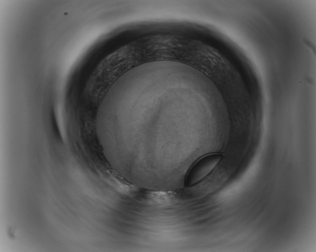 X0000101200239200807111017