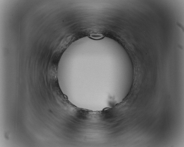 X0000101200240200807111017