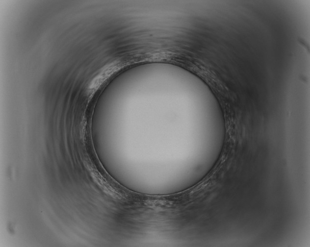 X0000101200242200807111016