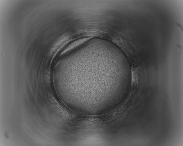 X0000101200243200807111016