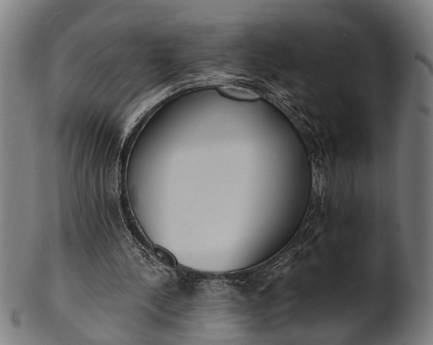 X0000101200244200807111016
