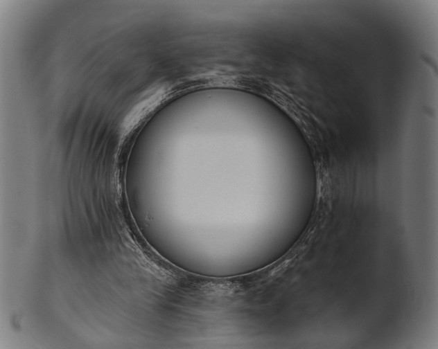 X0000101200245200807111016