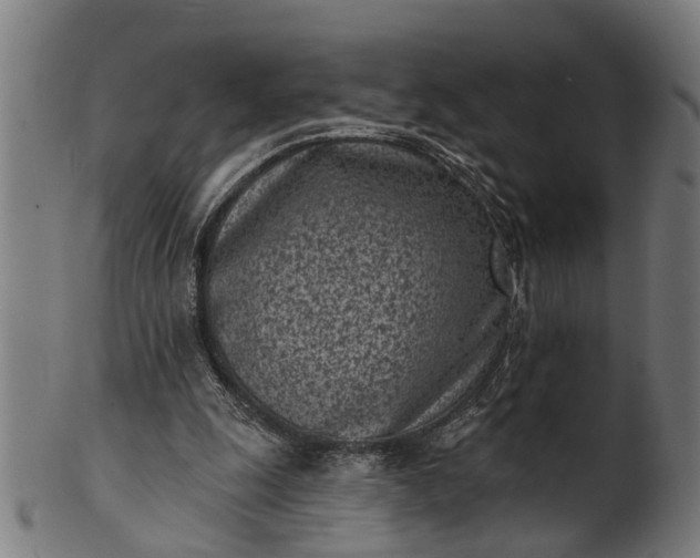 X0000101200247200807111016