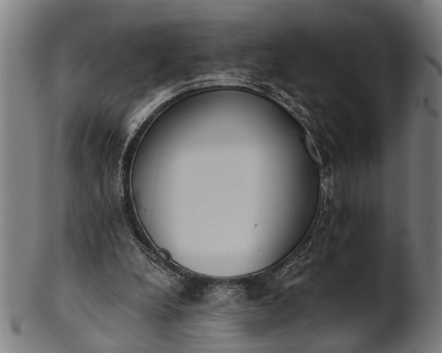 X0000101200248200807111016