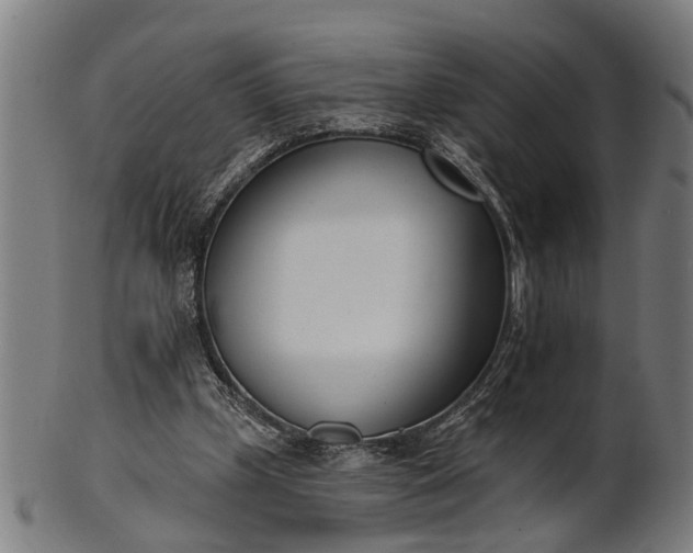 X0000101200249200807111016
