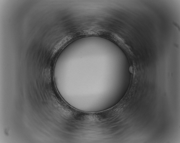 X0000101200250200807111016