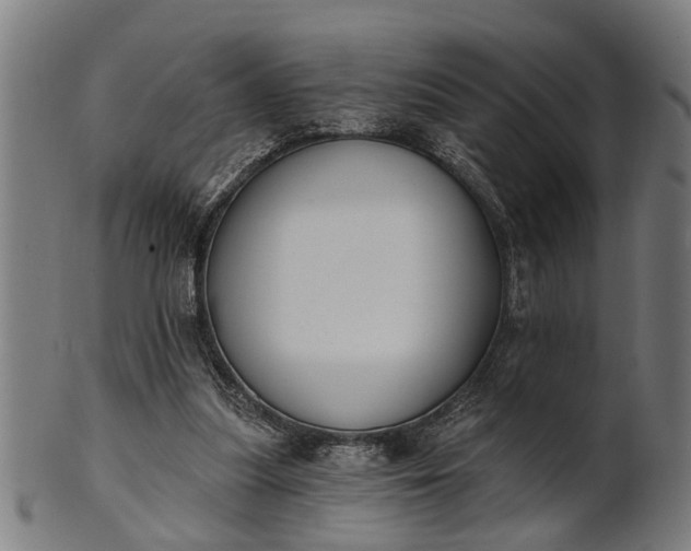 X0000101200251200807111016