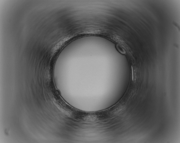 X0000101200252200807111016