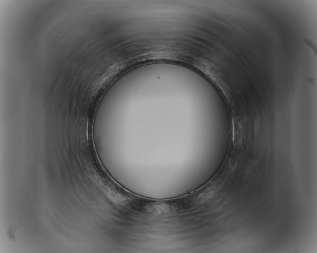 X0000101200253200807111016