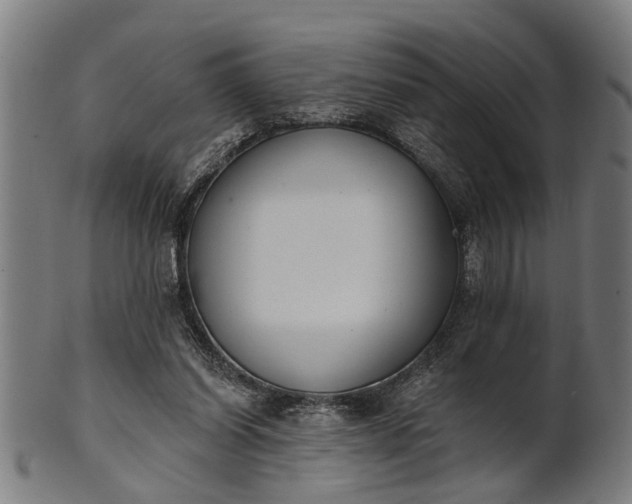 X0000101200254200807111016