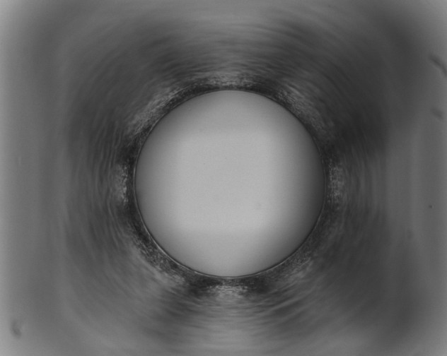 X0000101200255200807111016