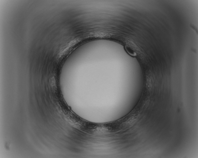 X0000101200256200807111016