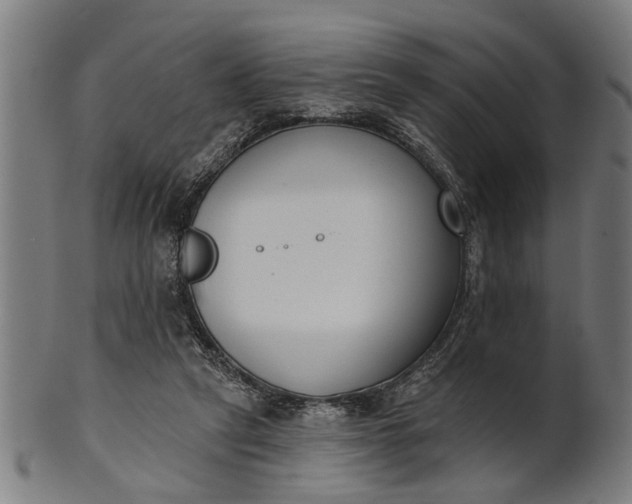X0000101200257200807111016
