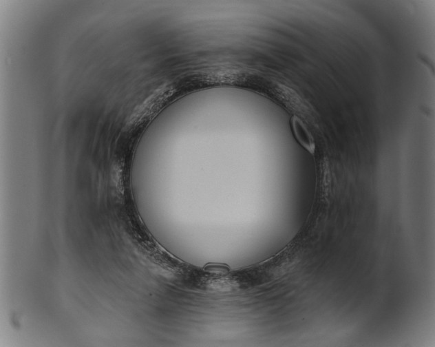 X0000101200258200807111016
