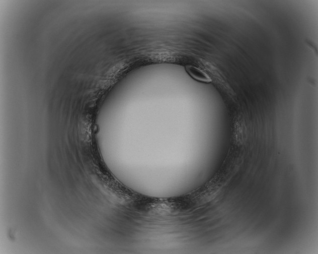 X0000101200259200807111016