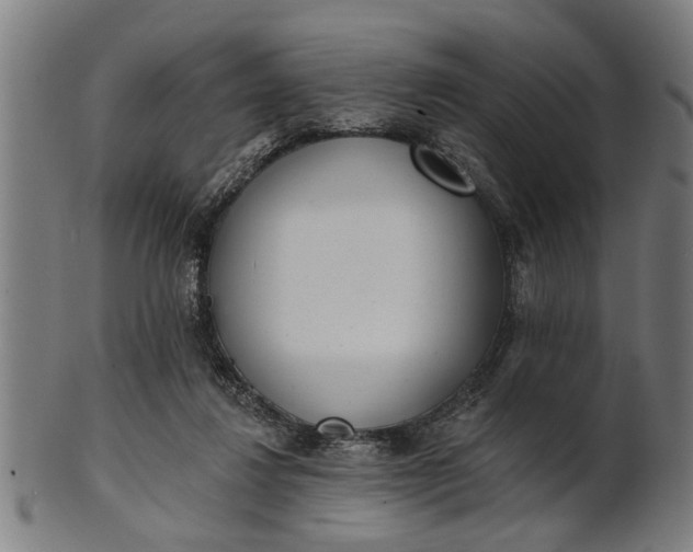X0000101200260200807111016
