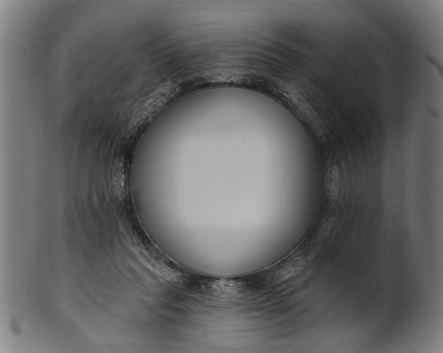 X0000101200261200807111016