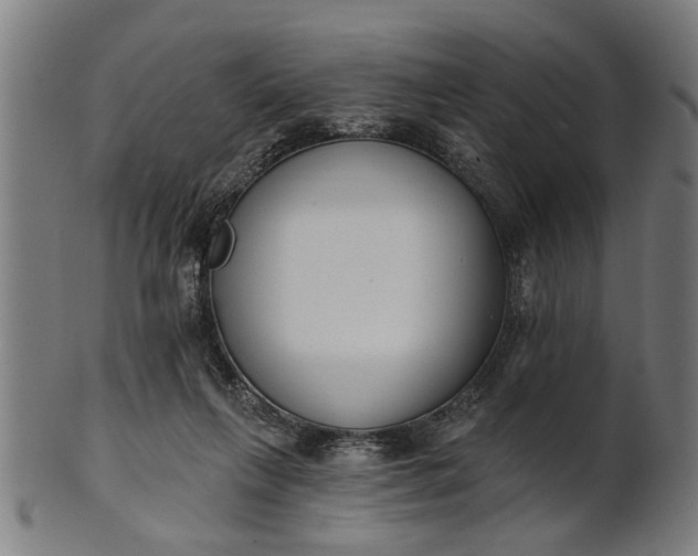 X0000101200263200807111016