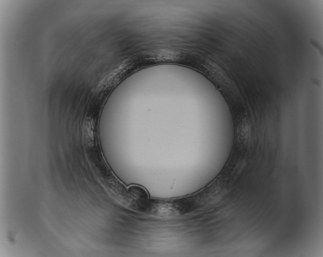 X0000101200264200807111016