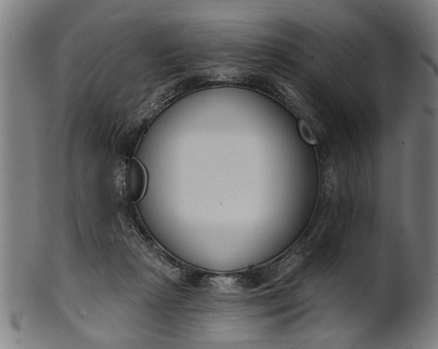 X0000101200265200807111016