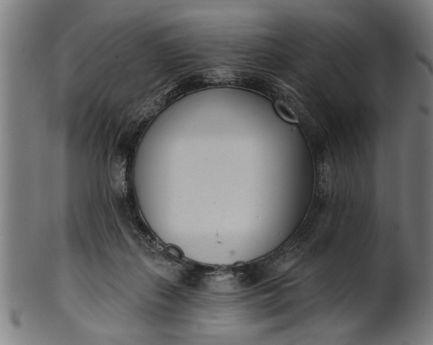 X0000101200267200807111016