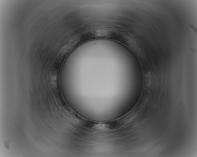 X0000101200269200807111016
