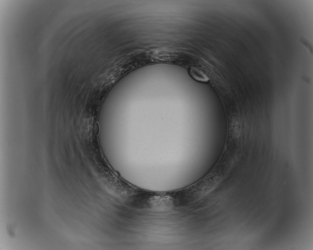 X0000101200271200807111016