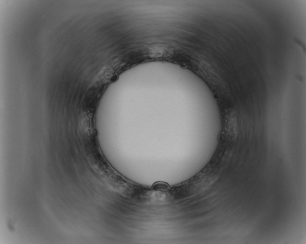 X0000101200272200807111016