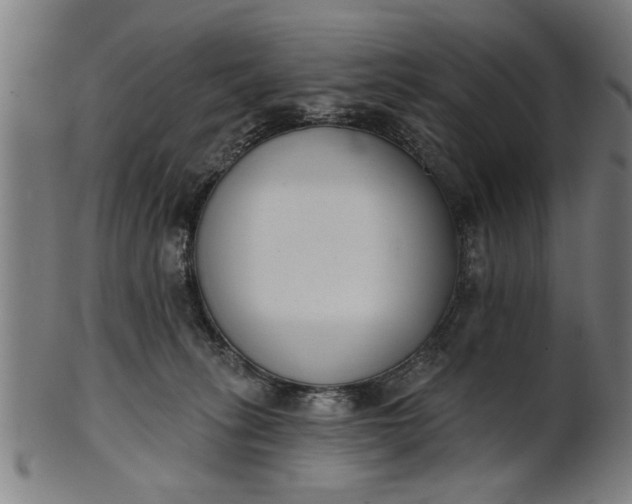 X0000101200275200807111016