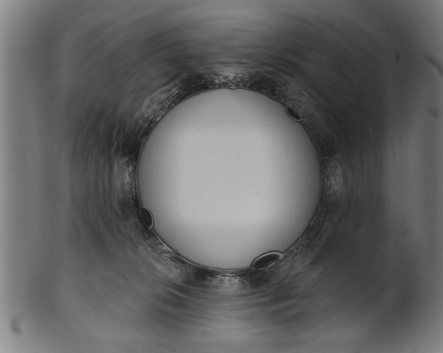 X0000101200276200807111017