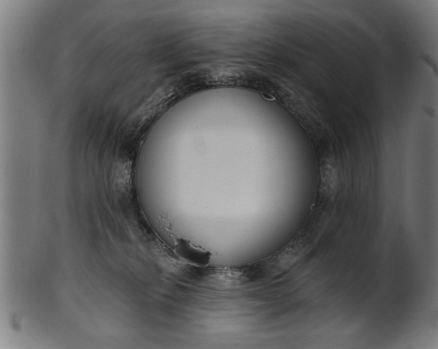 X0000101200278200807111017