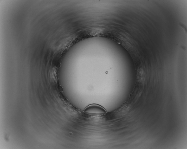 X0000101200280200807111017
