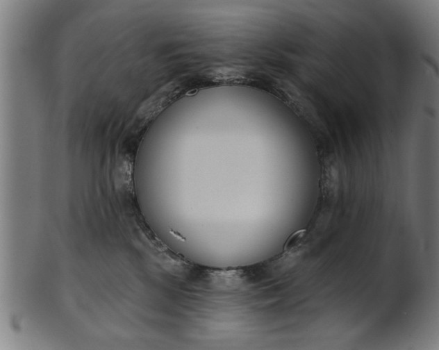 X0000101200281200807111017