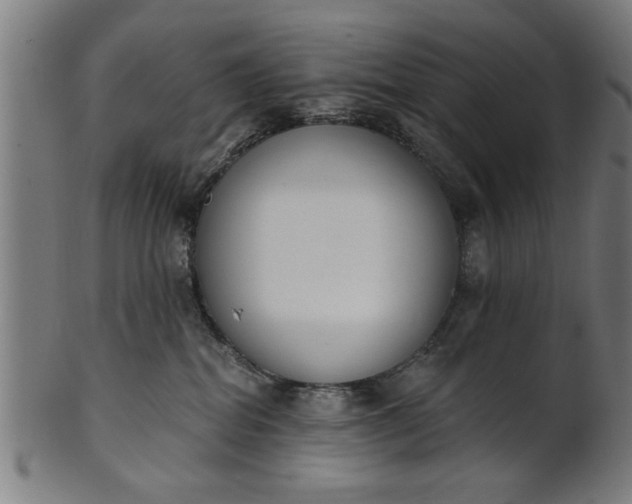 X0000101200282200807111017