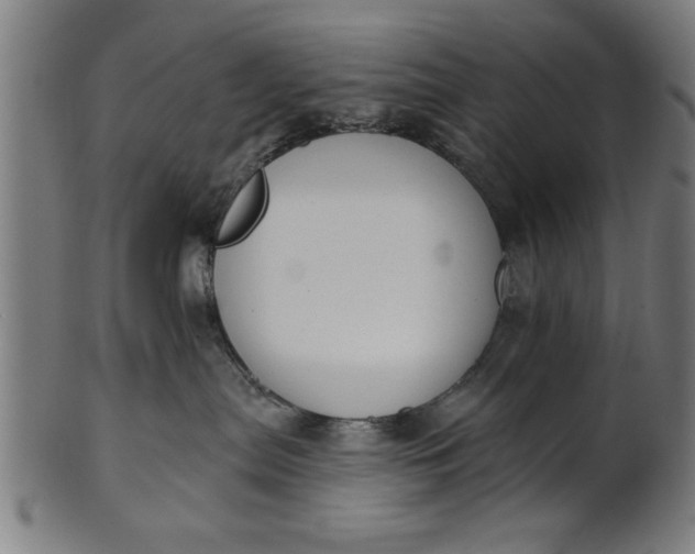 X0000101200287200807111017